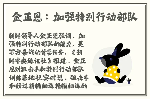 国外麻婆豆腐传媒